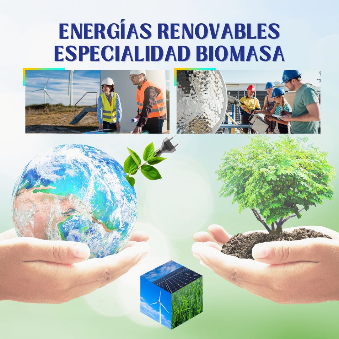 Energías Renovables: Especialidad Biomasa en Teleformación